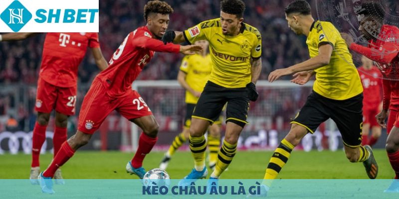 Kèo Châu Âu là gì? Tại sao luôn được yêu thích tại SHBET?