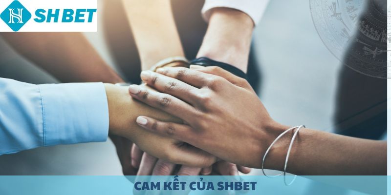 Cam kết của SHBET đối với chơi có trách nhiệm.