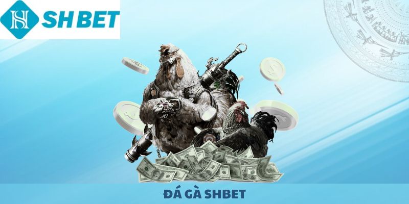 Đá Gà SHBET 2025 - Trải Nghiệm Cá Cược Trực Tuyến Sôi Động