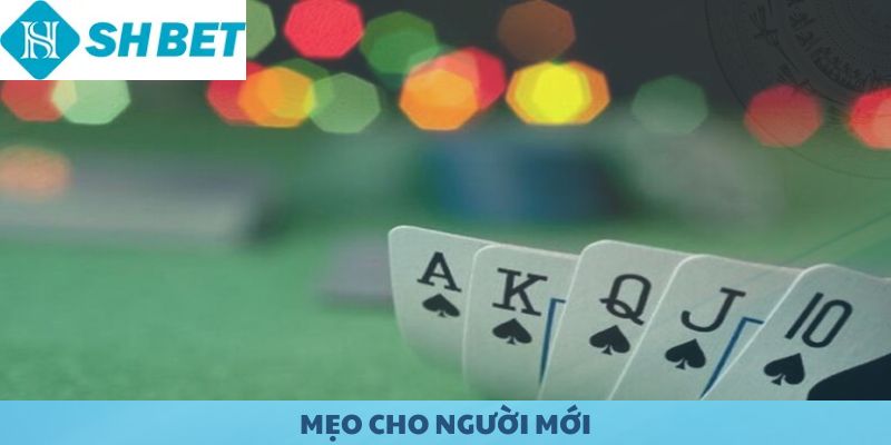 Mẹo cho người mới tham gia game bài Mậu Binh