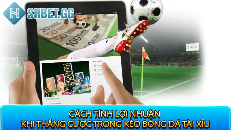 Hướng Dẫn Cách Chơi Kèo Tài Xỉu Bóng Đá Chính Xác 2023 4 Cách tính lợi nhuận khi thắng cược trong kèo bóng đá Tài Xỉu