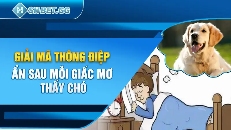 Giải Mã 10 Thông Điệp Ẩn Sau Mỗi Giấc Mơ Thấy Chó 2 Giải mã thông điệp ẩn sau mỗi giấc mơ thấy chó