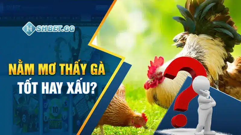 Điềm Báo Mơ Thấy Gà & Bộ Số Phong Thủy Đổi Mệnh 2 Nằm mơ thấy gà tốt hay xấu?