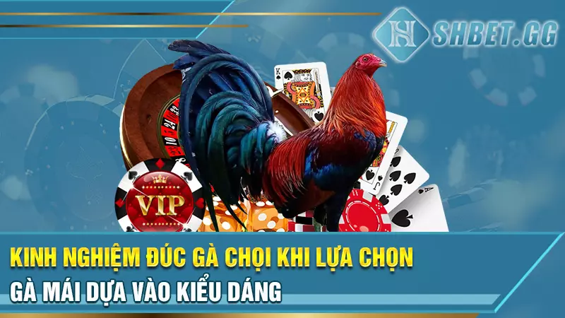 Sư kê lão làng chia sẻ kinh nghiệm đúc gà chọi thiện chiến 3 Kinh nghiệm đúc gà chọi khi lựa chọn gà mái dựa vào kiểu dáng