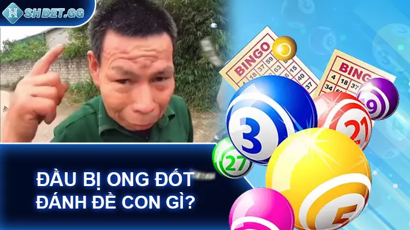 Giải mã bị ong đốt đánh đề con gì cho chính xác 5 Đầu bị ong đốt đánh đề con gì?