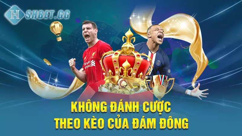 Chia sẻ cách chơi cá độ bóng đá không thua đến từ cao thủ 7 Không đánh cược theo kèo của đám đông