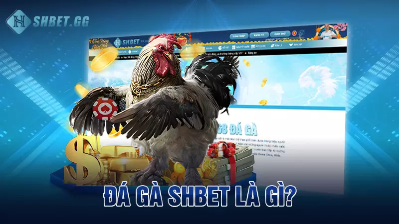 SHBET Free – Trang Chủ, Sản Phẩm & Hướng Dẫn Truy Cập 13 Đá gà Shbet là gì?