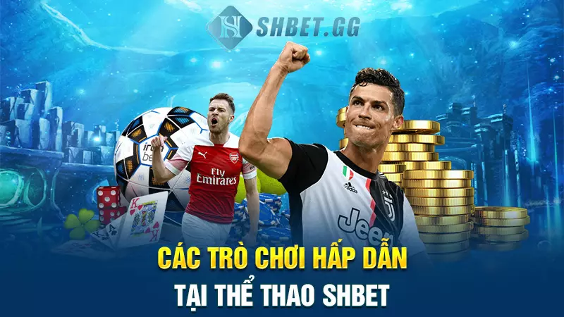 SHBET Free – Trang Chủ, Sản Phẩm & Hướng Dẫn Truy Cập 12 Các trò chơi hấp dẫn tại thể thao SHBET