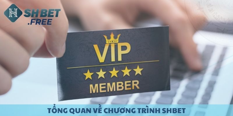Tổng quan về chương trình vip tại SHBET.